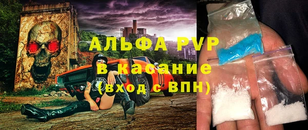 прущие грибы Михайловка