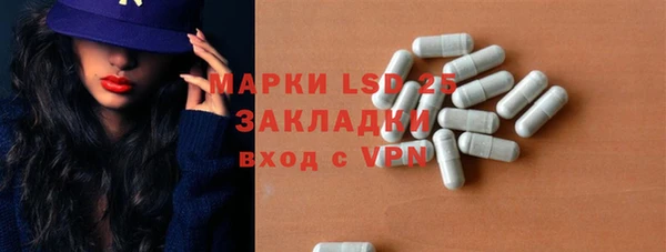 прущие грибы Михайловка