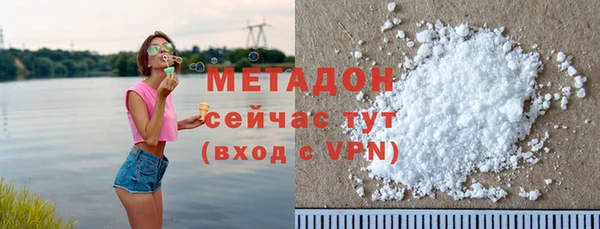 прущие грибы Михайловка