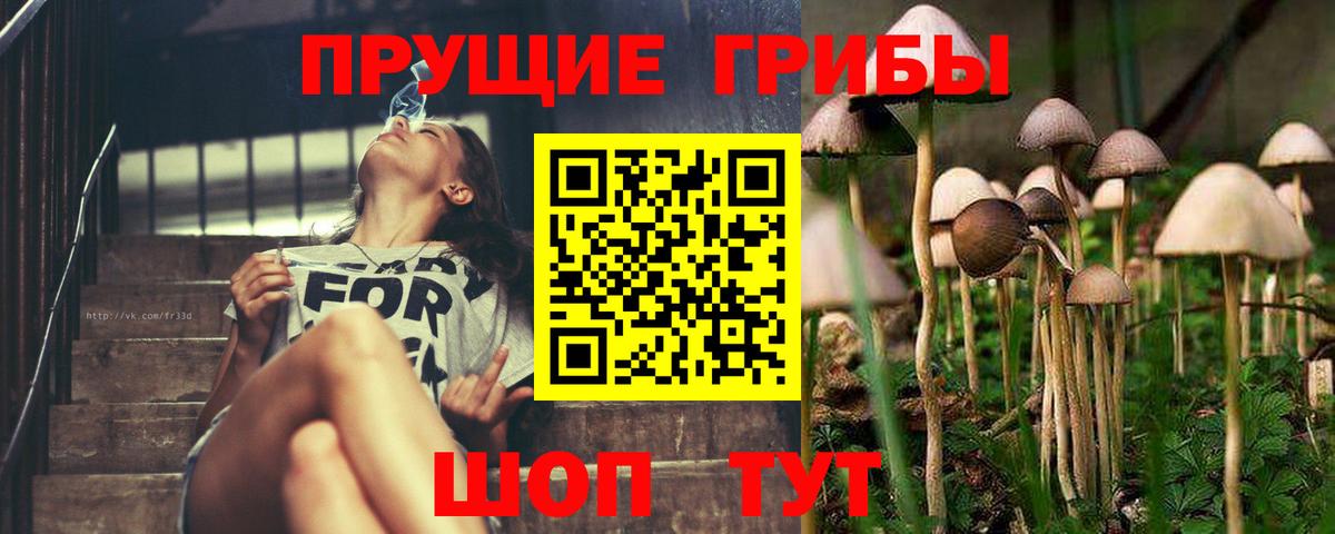 Псилоцибиновые грибы Psilocybe Реж